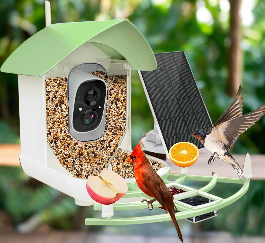 AveraEye AI-Powered Bird Feeder Camera With Night Vision