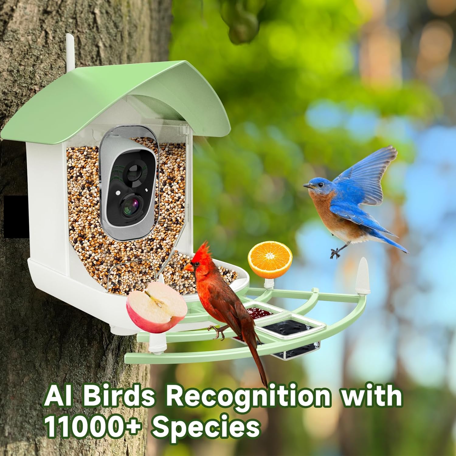 AveraEye AI-Powered Bird Feeder Camera With Night Vision