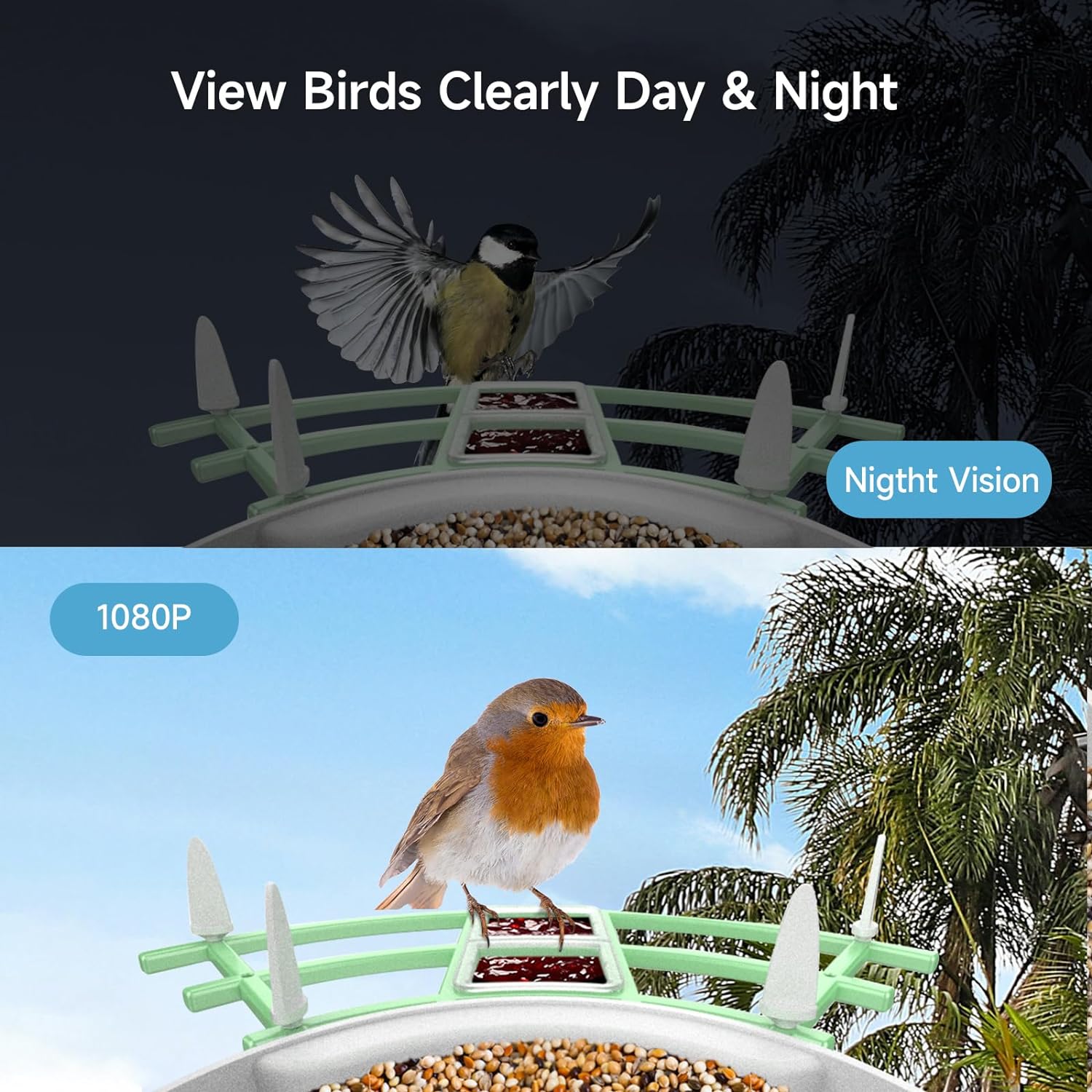 AveraEye AI-Powered Bird Feeder Camera With Night Vision