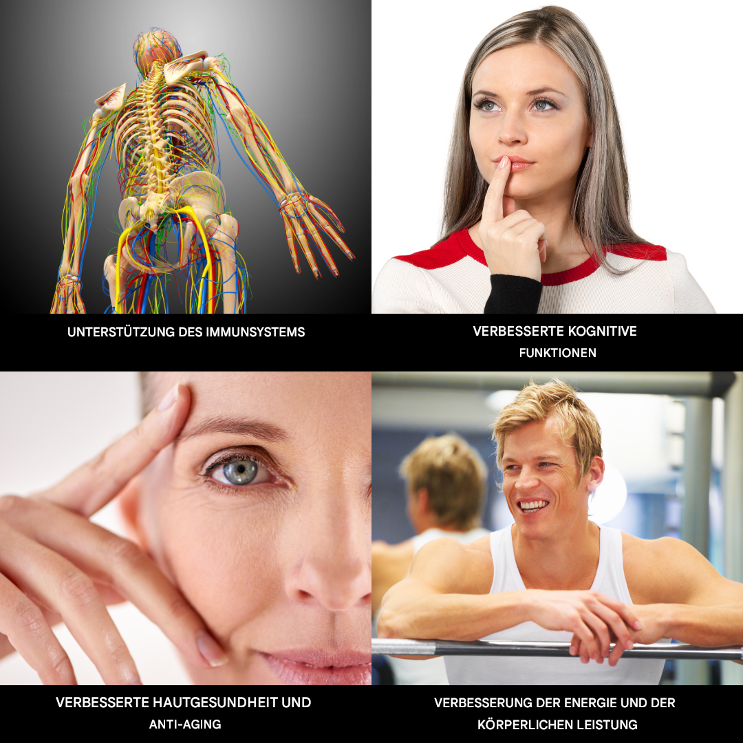 Skuggor Innovative Hydrogen Water Bottle With HydroPulse Generator