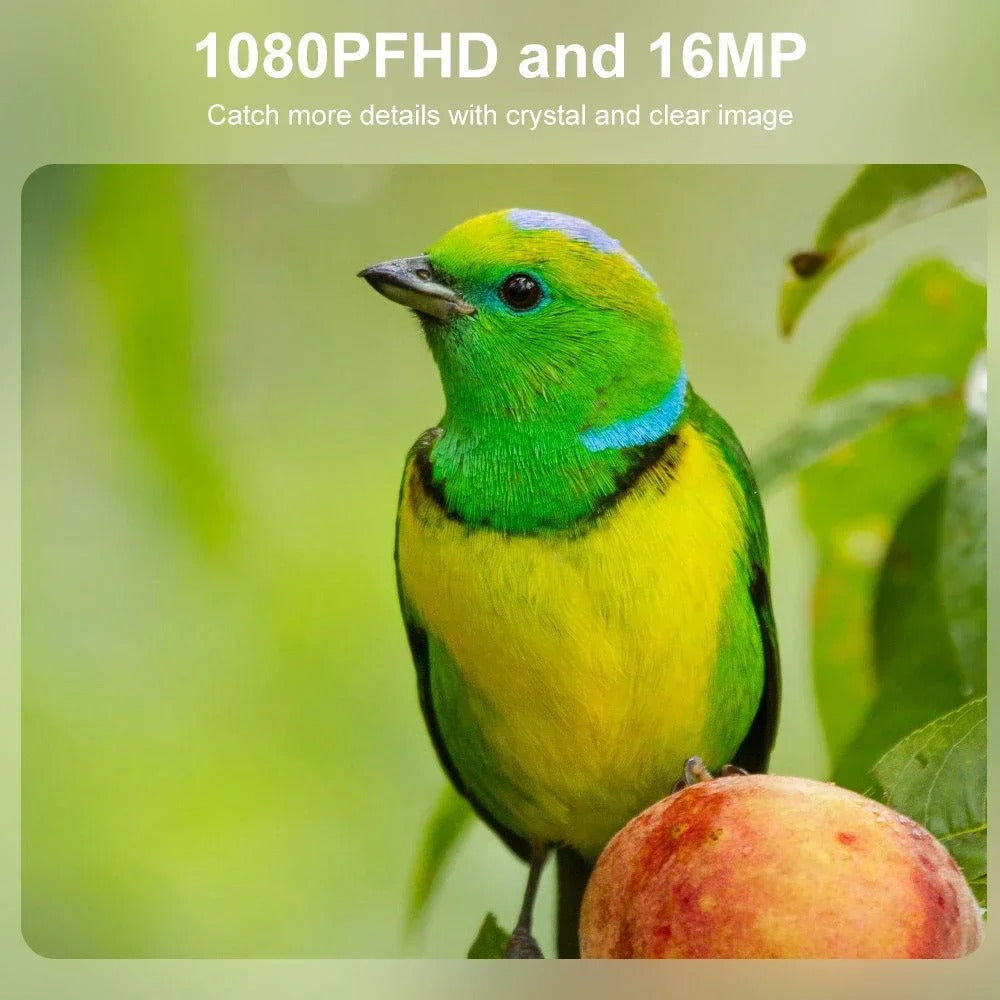 Skuggor Compact HD Trail Camera With Infrared Night Vision Waterproof