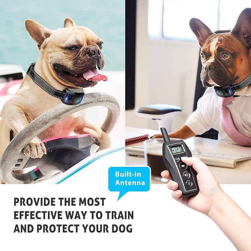 Skuggor CalmPath No Shock Dog Training Collar With Remote Control