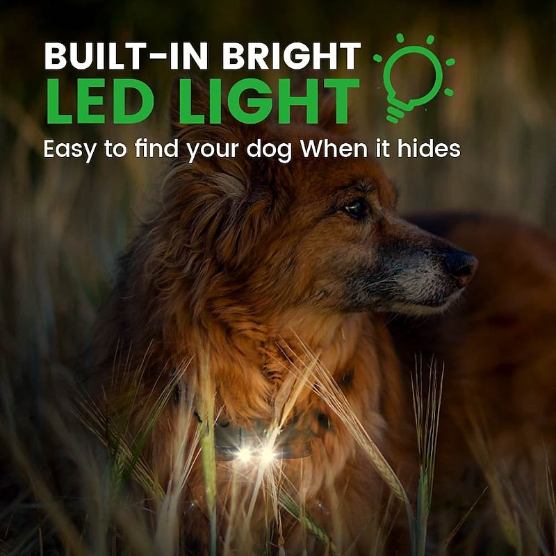 Skuggor Dog Training Collar With Premium Flashlight For Dogs