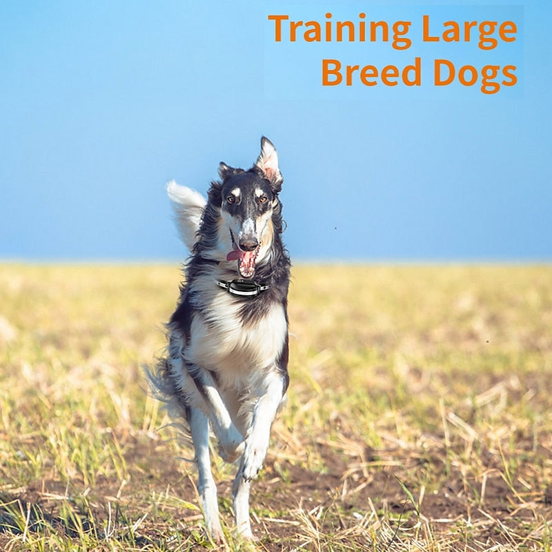 Skuggor LumenBond Wireless Dog Training Collar For Canine Training