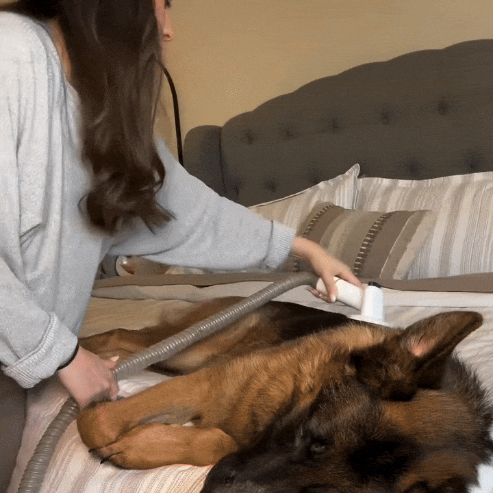 WhisperGroom™ | Dog Grooming Vacuum Kit